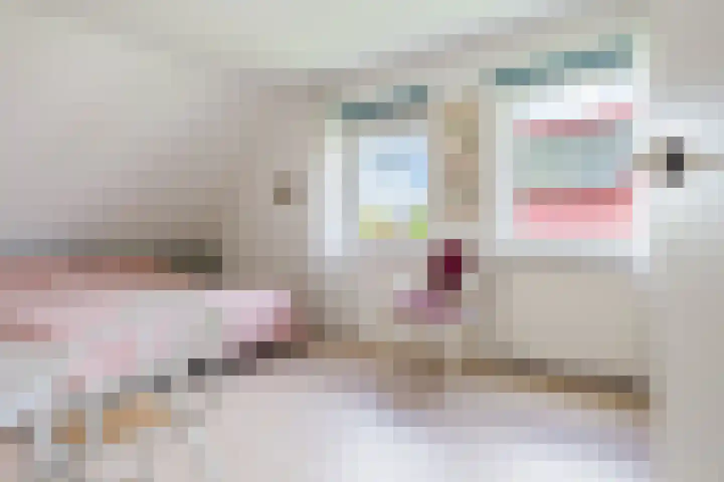 Vogelzwin 24 Sneek thumbnail 46