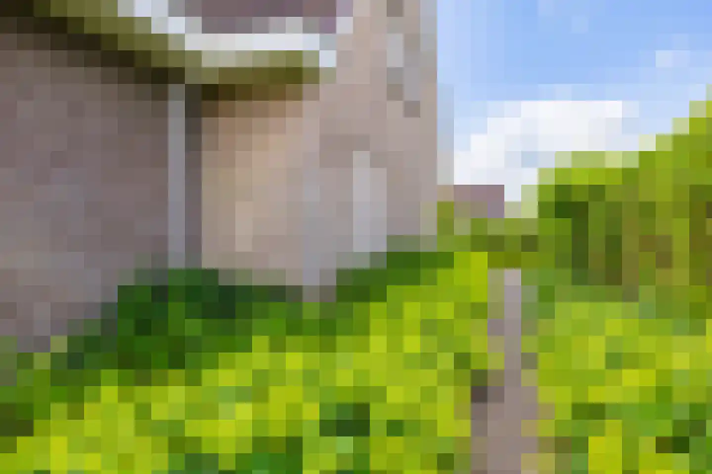 Vogelzwin 24 Sneek thumbnail 56