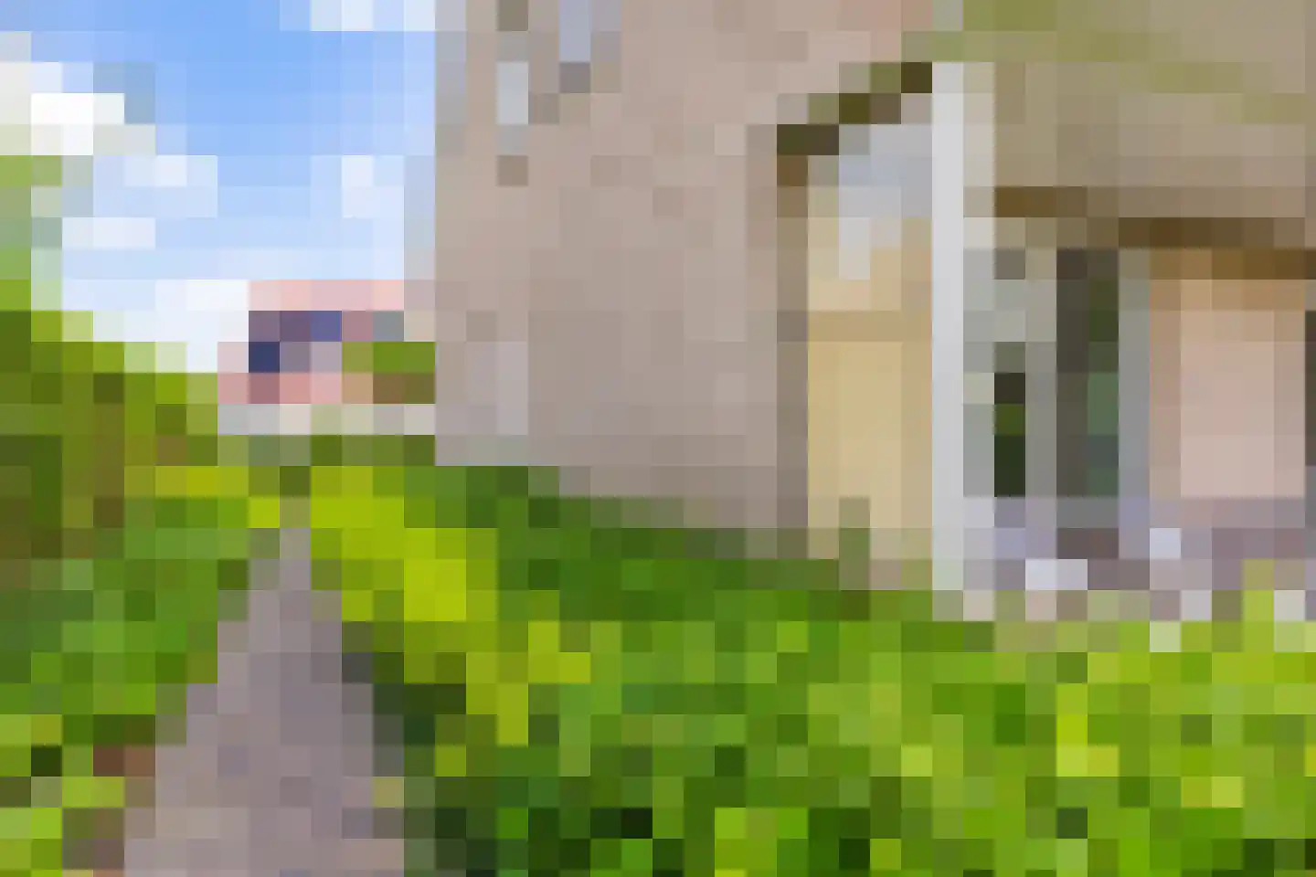 Vogelzwin 24 Sneek thumbnail 57