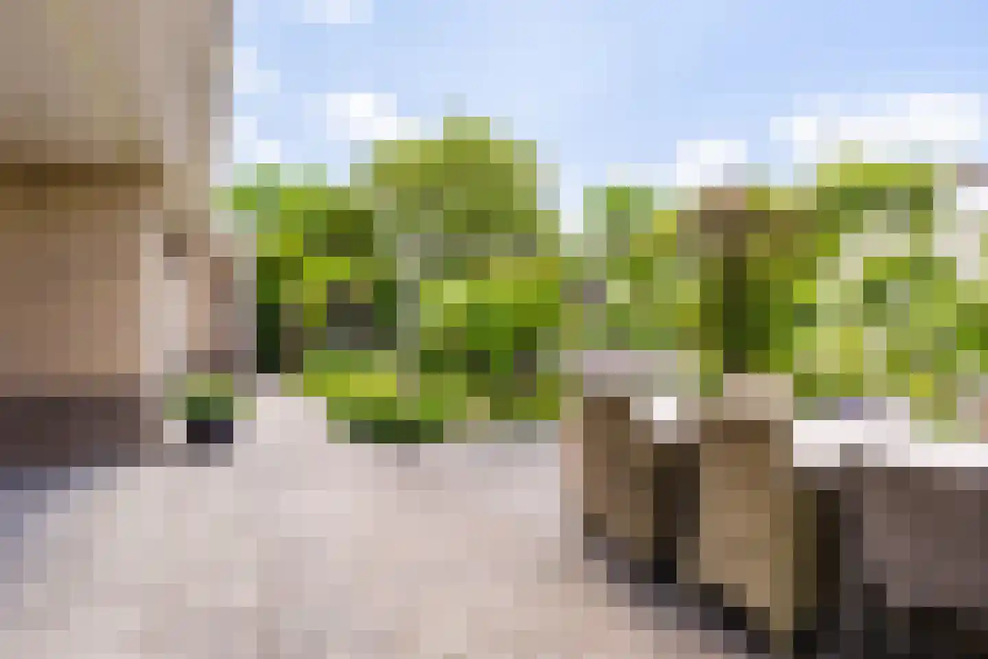 Vogelzwin 24 Sneek thumbnail 58