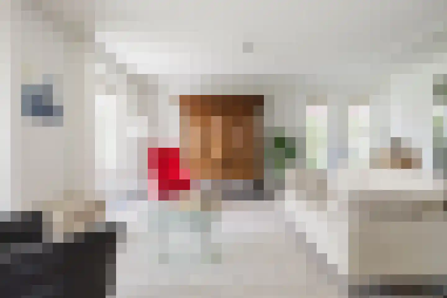 Vogelzwin 24 Sneek thumbnail 6