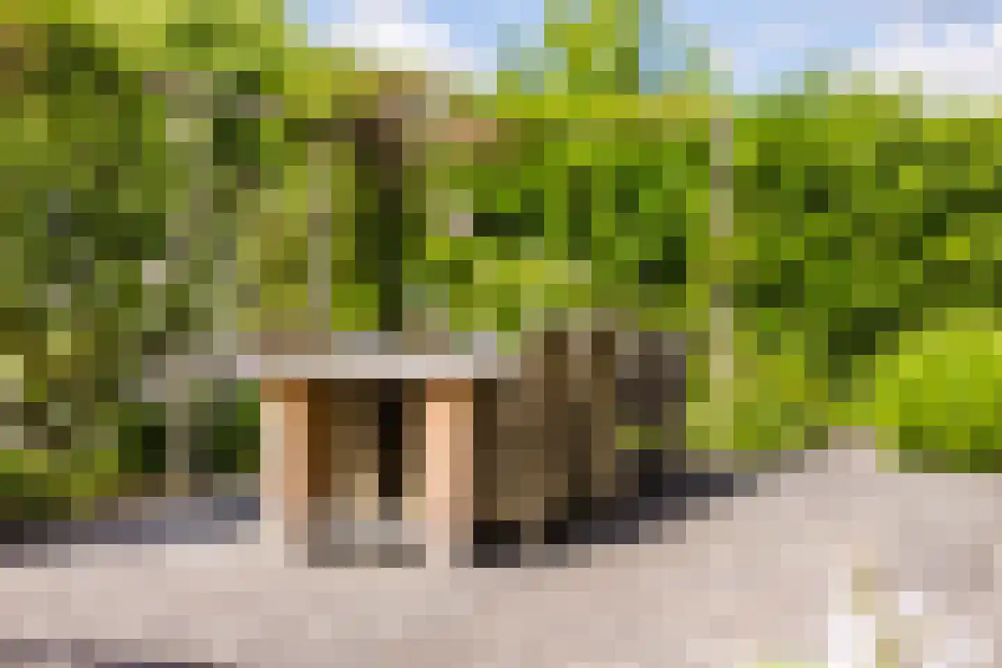 Vogelzwin 24 Sneek thumbnail 60
