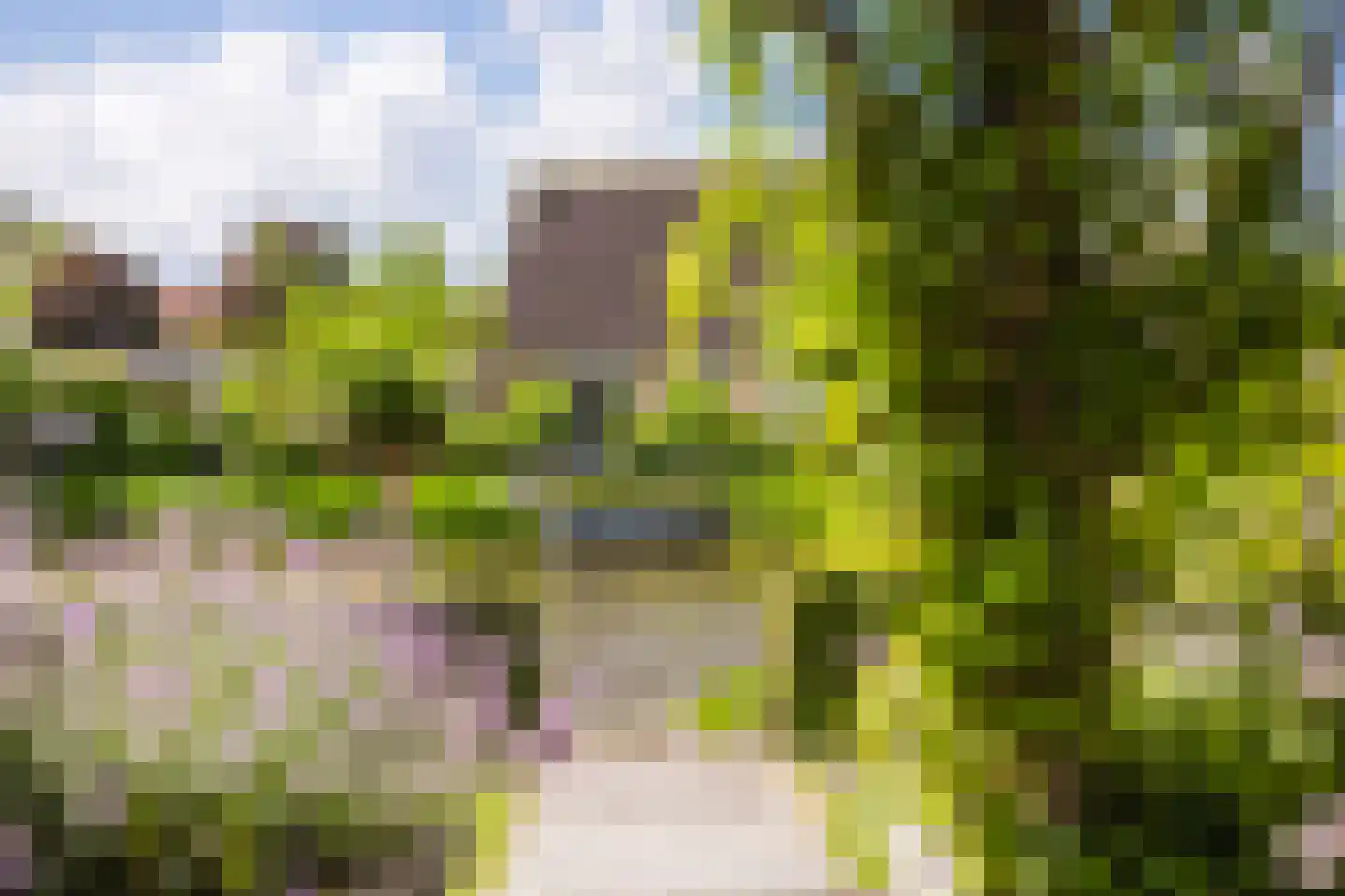 Vogelzwin 24 Sneek thumbnail 61
