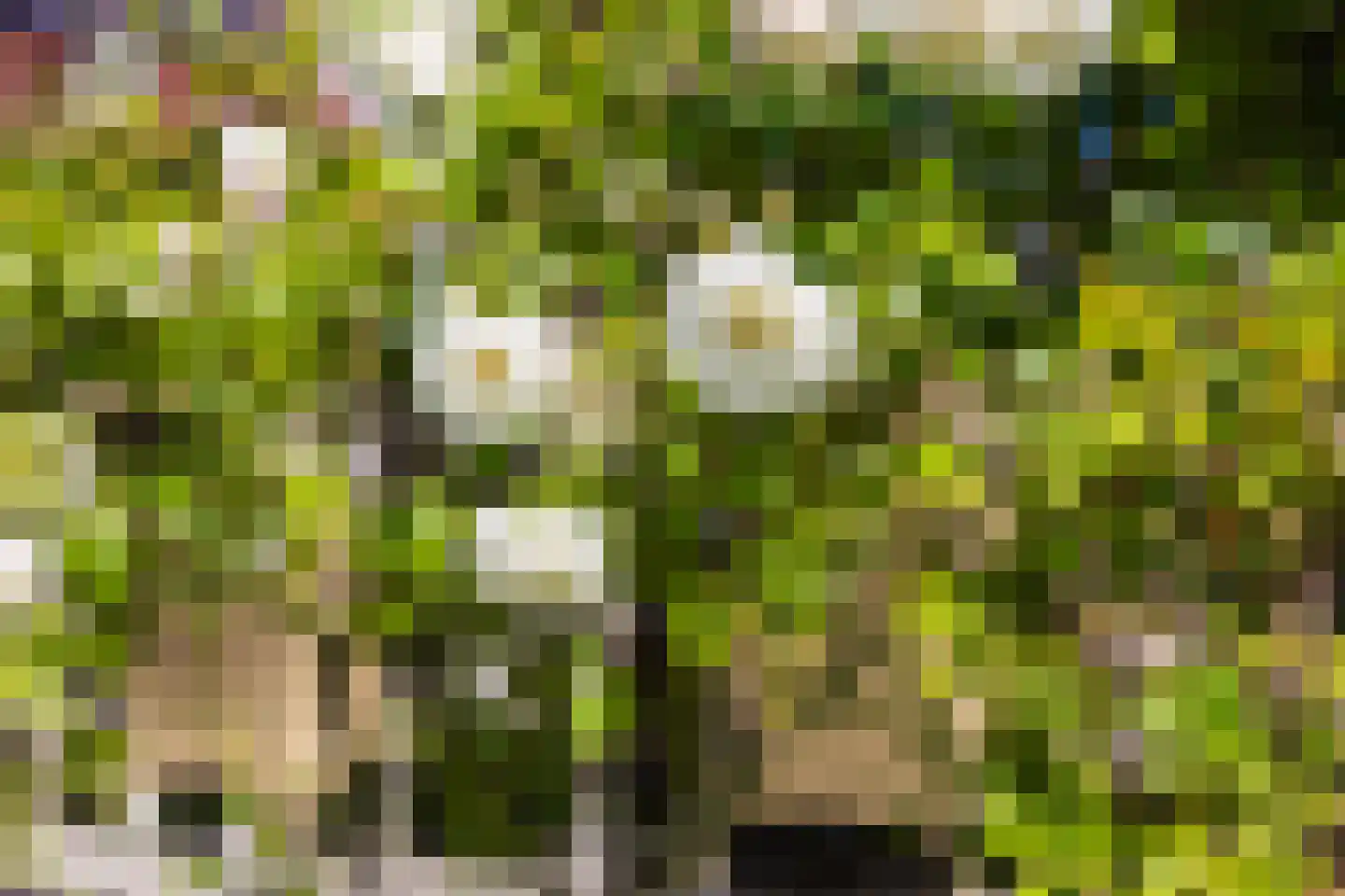 Vogelzwin 24 Sneek thumbnail 62