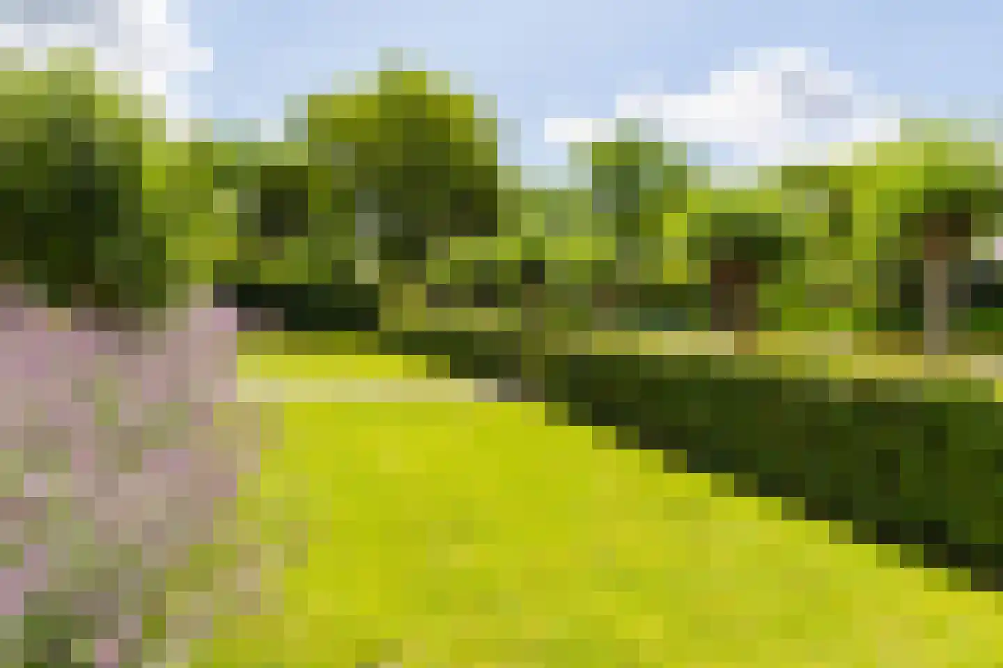 Vogelzwin 24 Sneek thumbnail 63