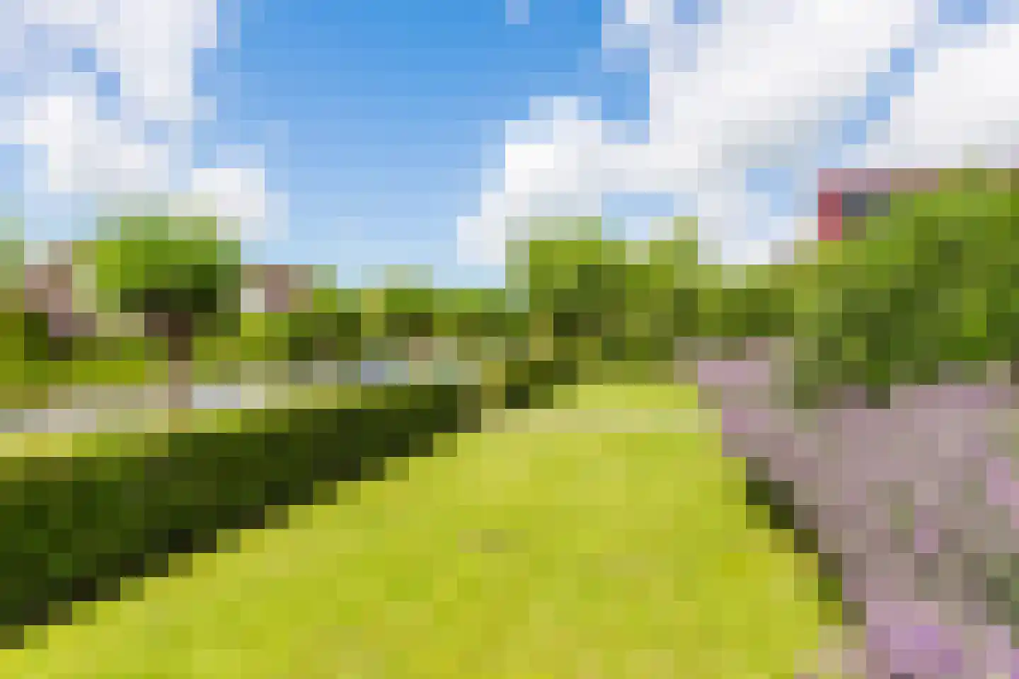 Vogelzwin 24 Sneek thumbnail 64
