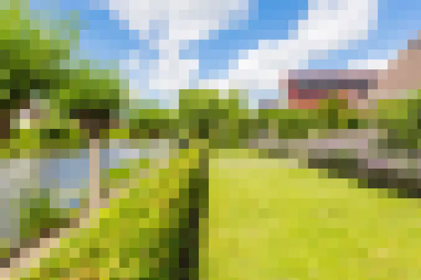 Vogelzwin 24 Sneek thumbnail 65