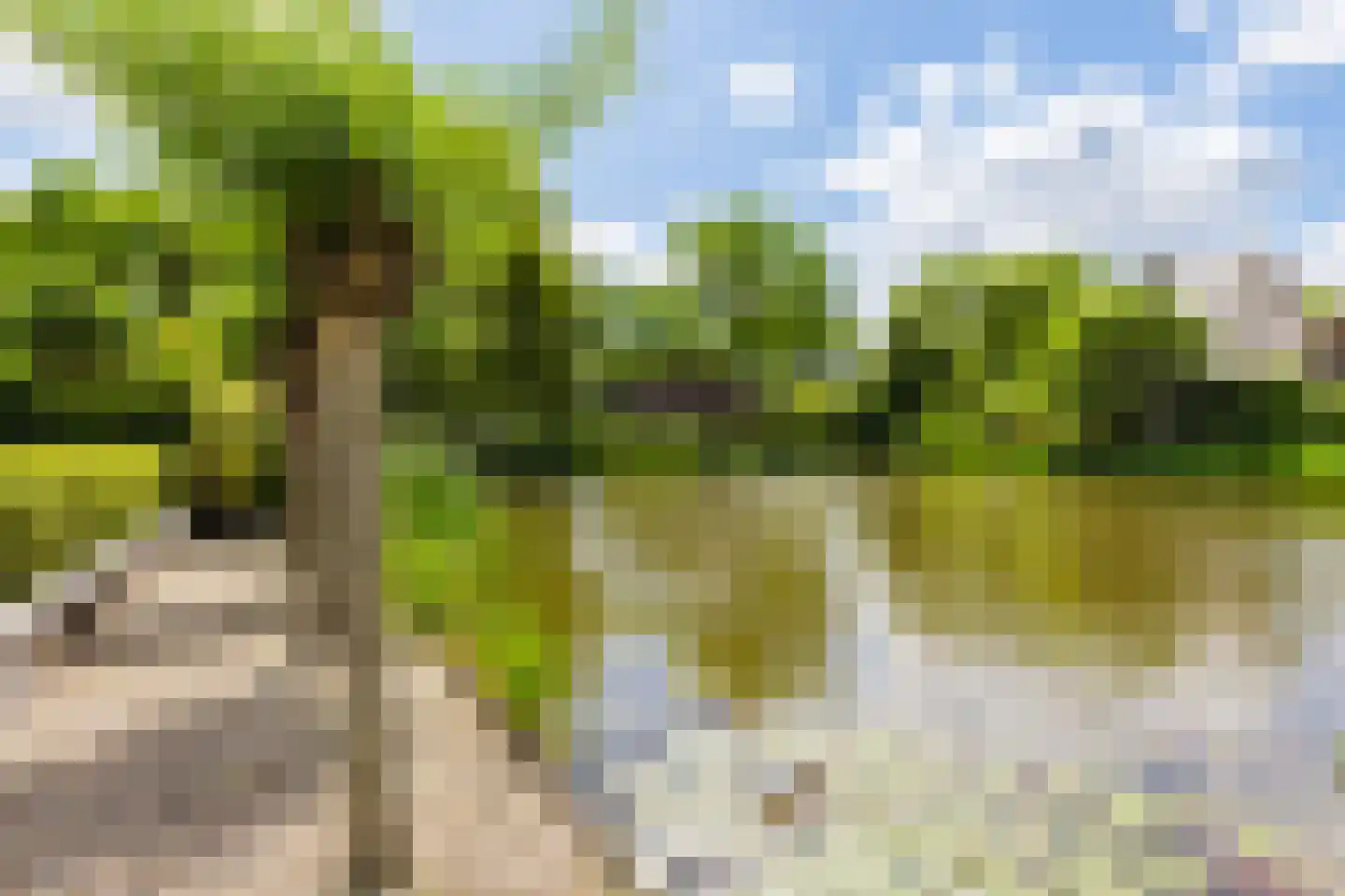 Vogelzwin 24 Sneek thumbnail 66