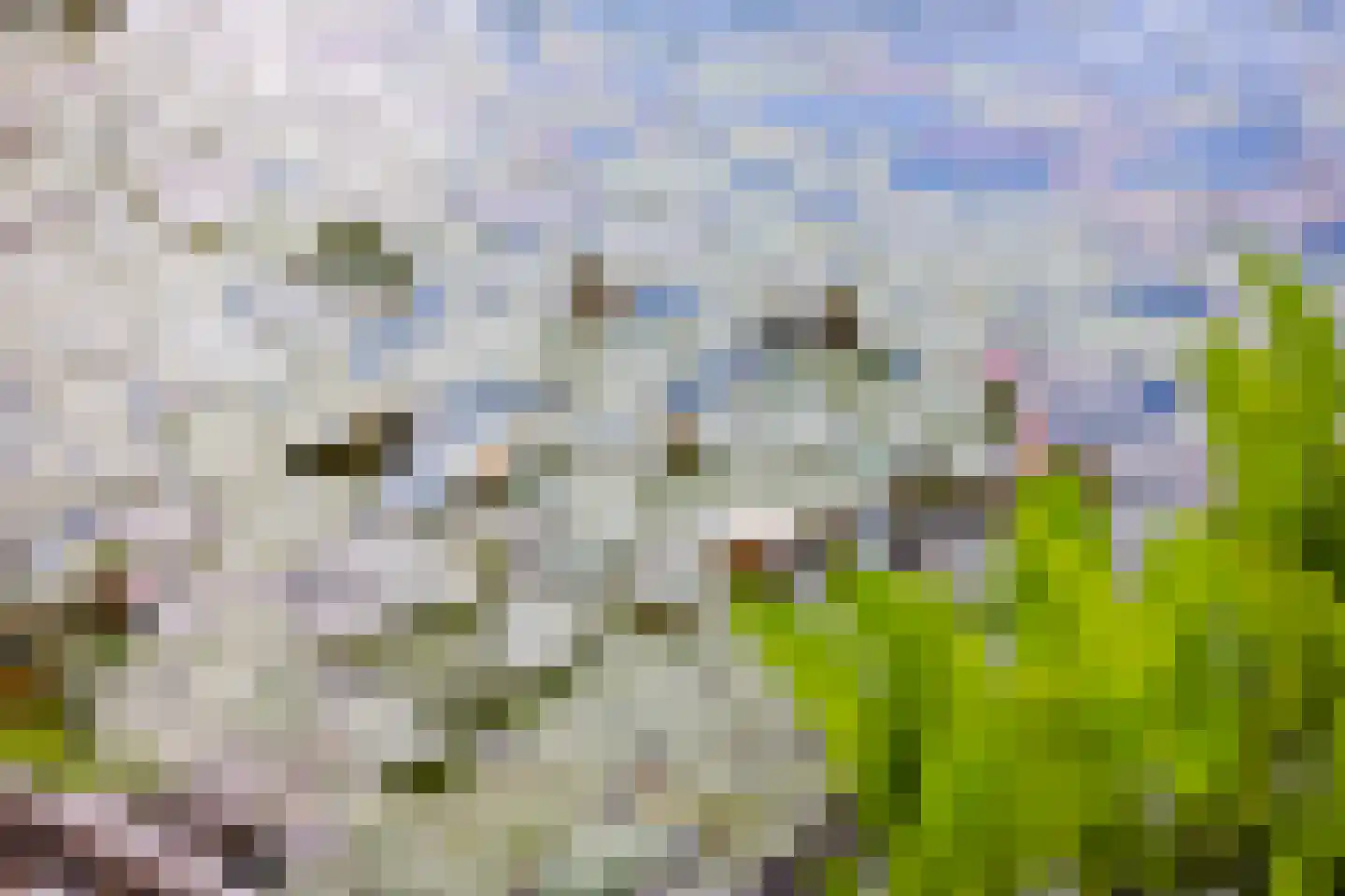 Vogelzwin 24 Sneek thumbnail 67