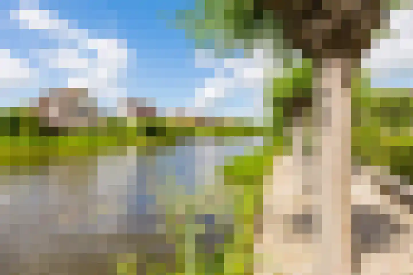 Vogelzwin 24 Sneek thumbnail 68