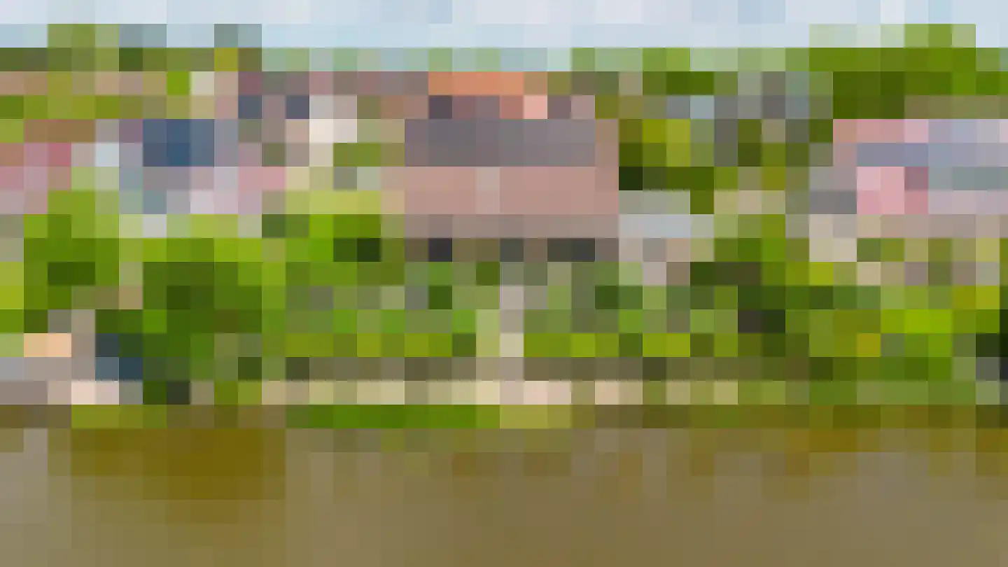 Vogelzwin 24 Sneek thumbnail 71