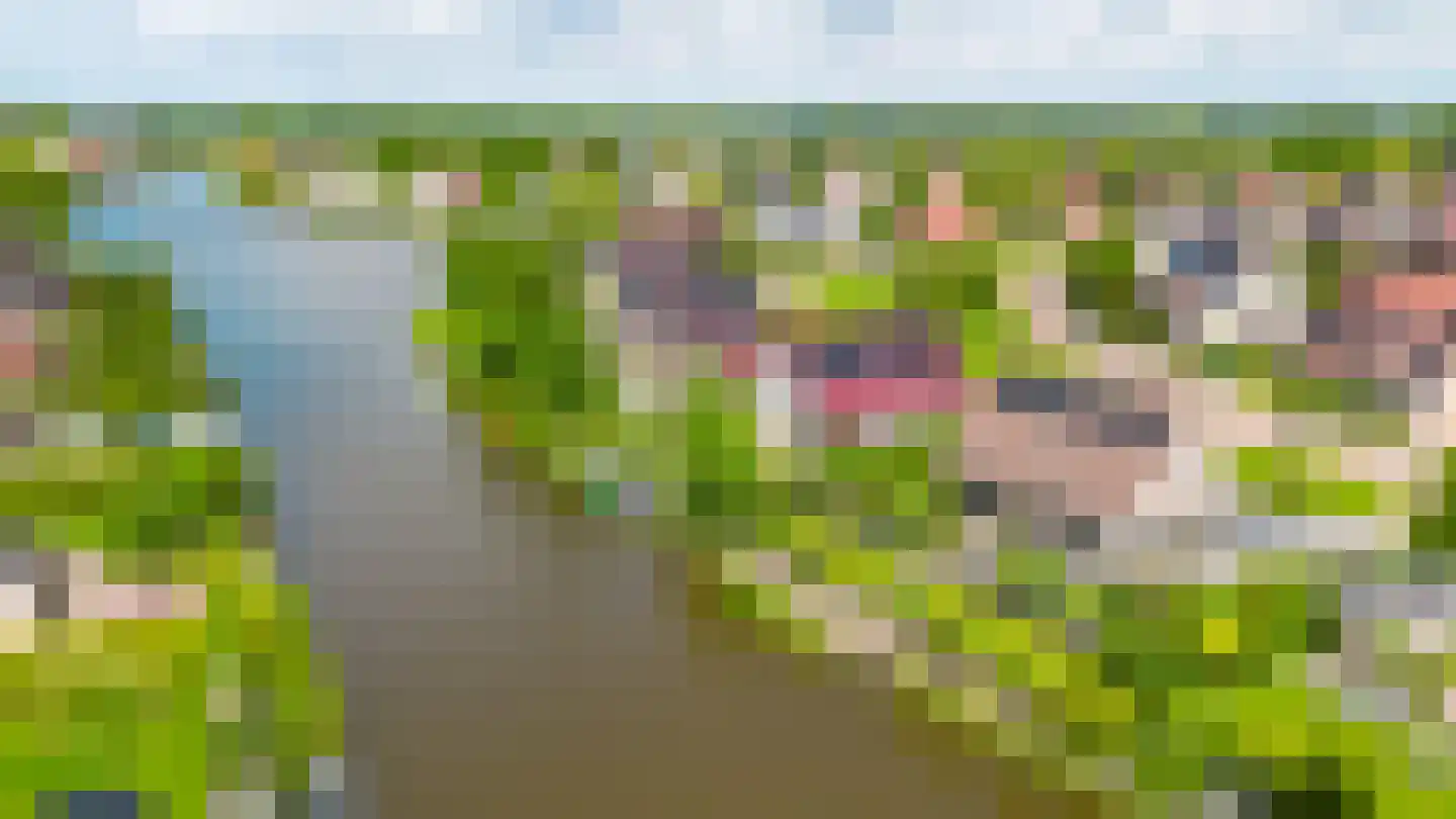 Vogelzwin 24 Sneek thumbnail 73