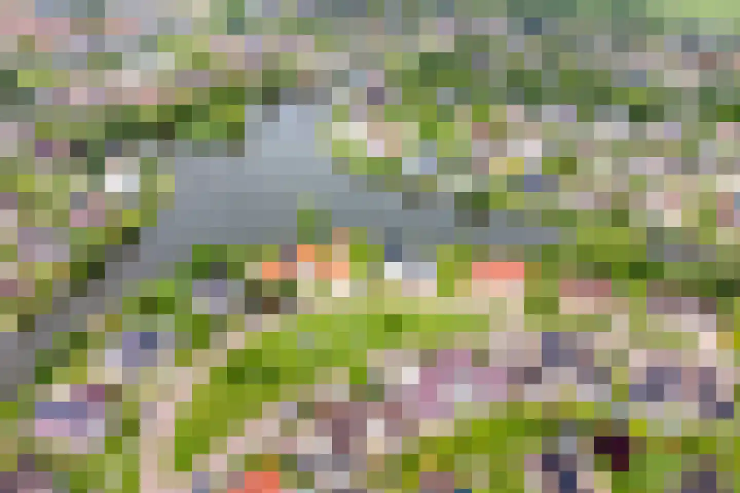 Vogelzwin 24 Sneek thumbnail 75