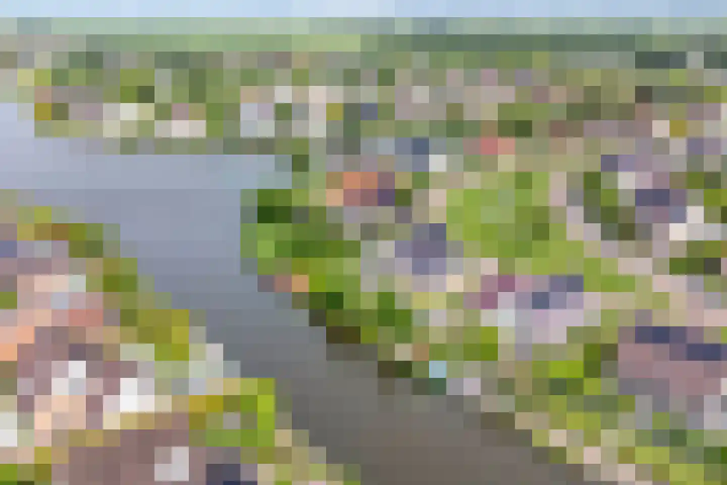 Vogelzwin 24 Sneek thumbnail 76