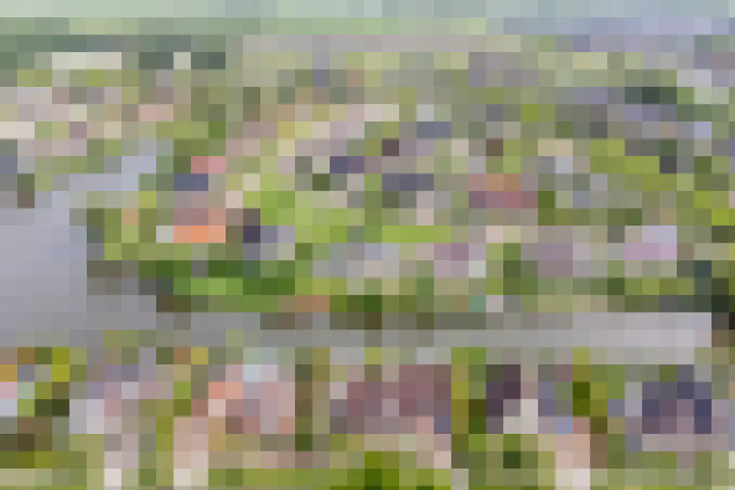 Vogelzwin 24 Sneek thumbnail 77