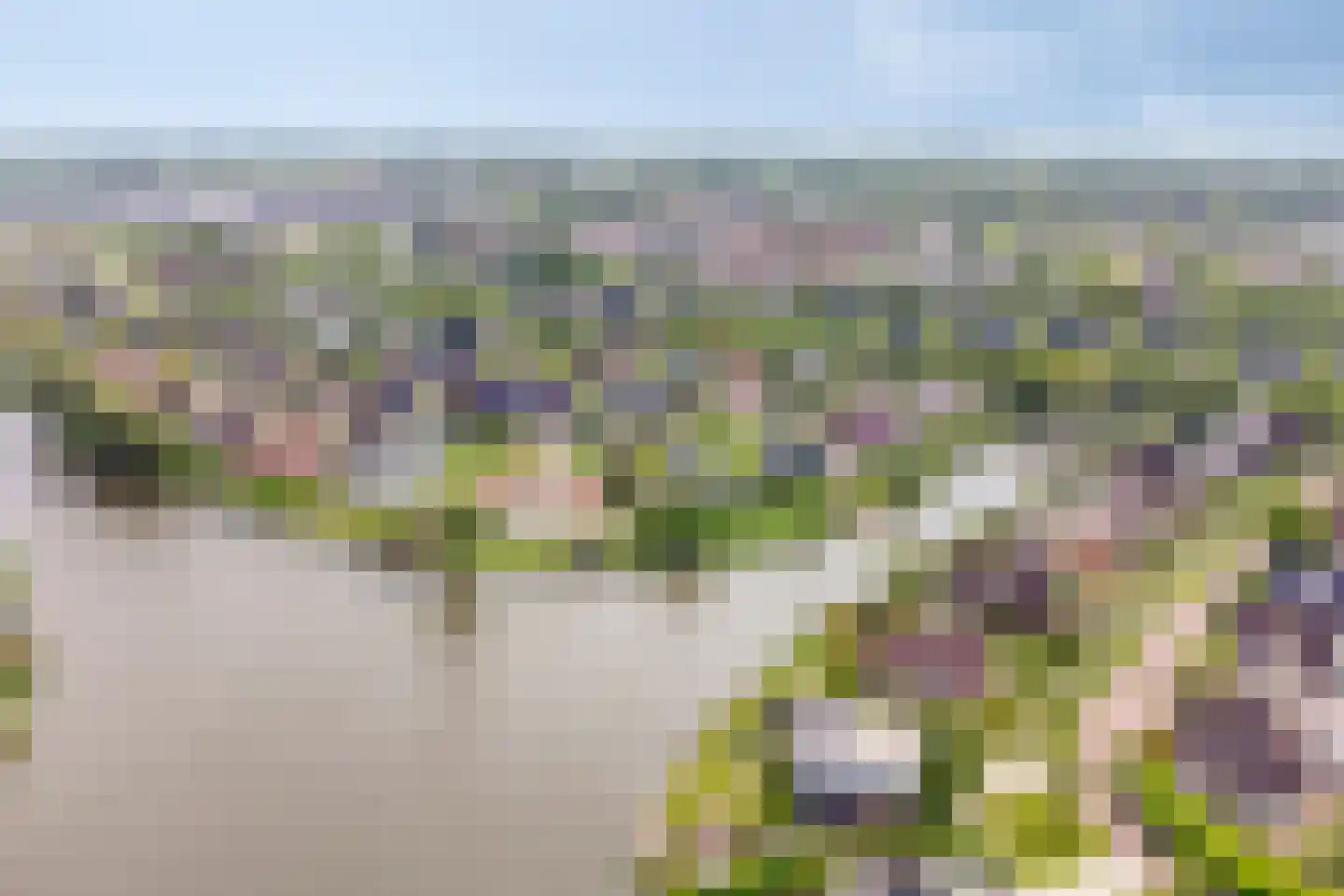 Vogelzwin 24 Sneek thumbnail 78