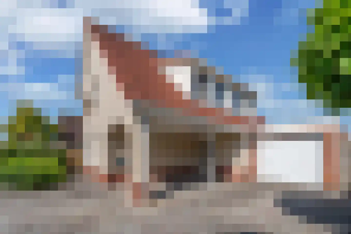 Vogelzwin 4 Sneek thumbnail 11