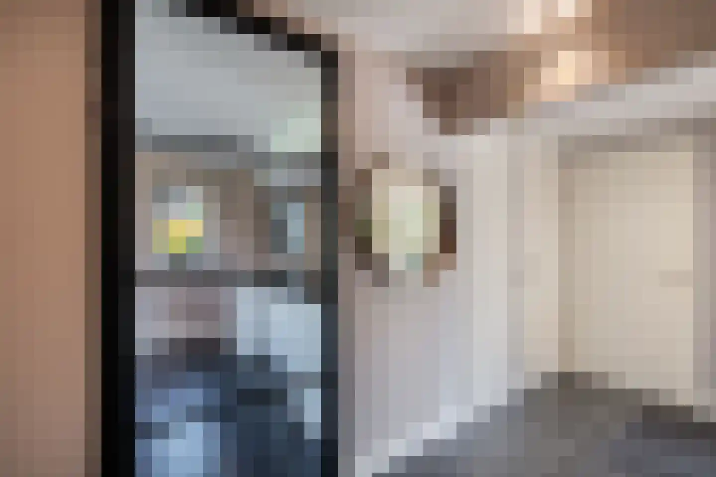 Vogelzwin 4 Sneek thumbnail 13