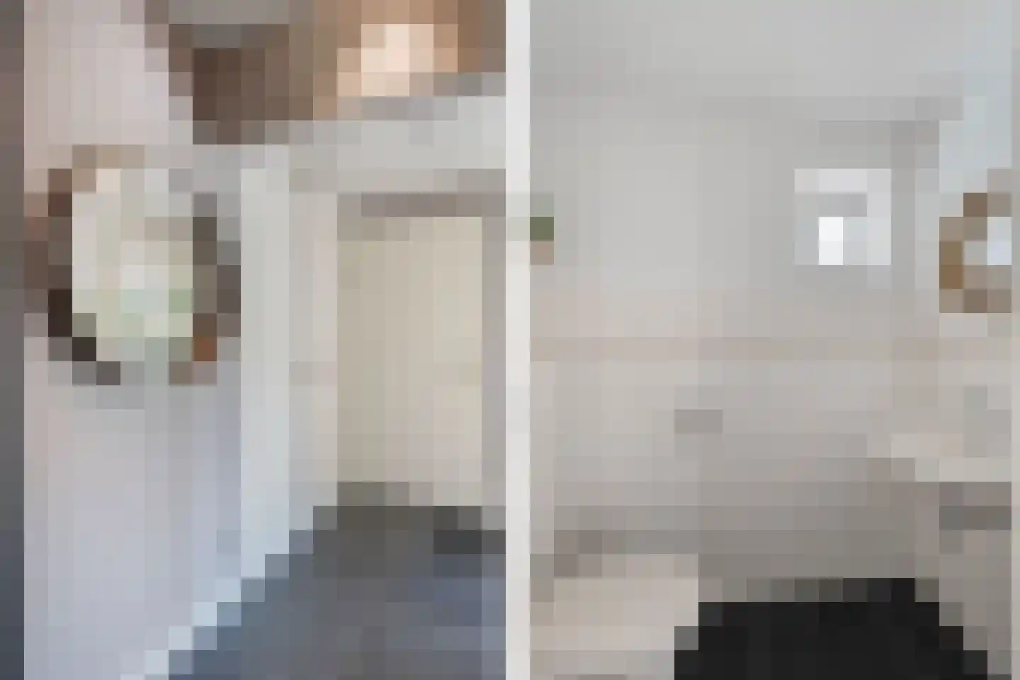 Vogelzwin 4 Sneek thumbnail 15