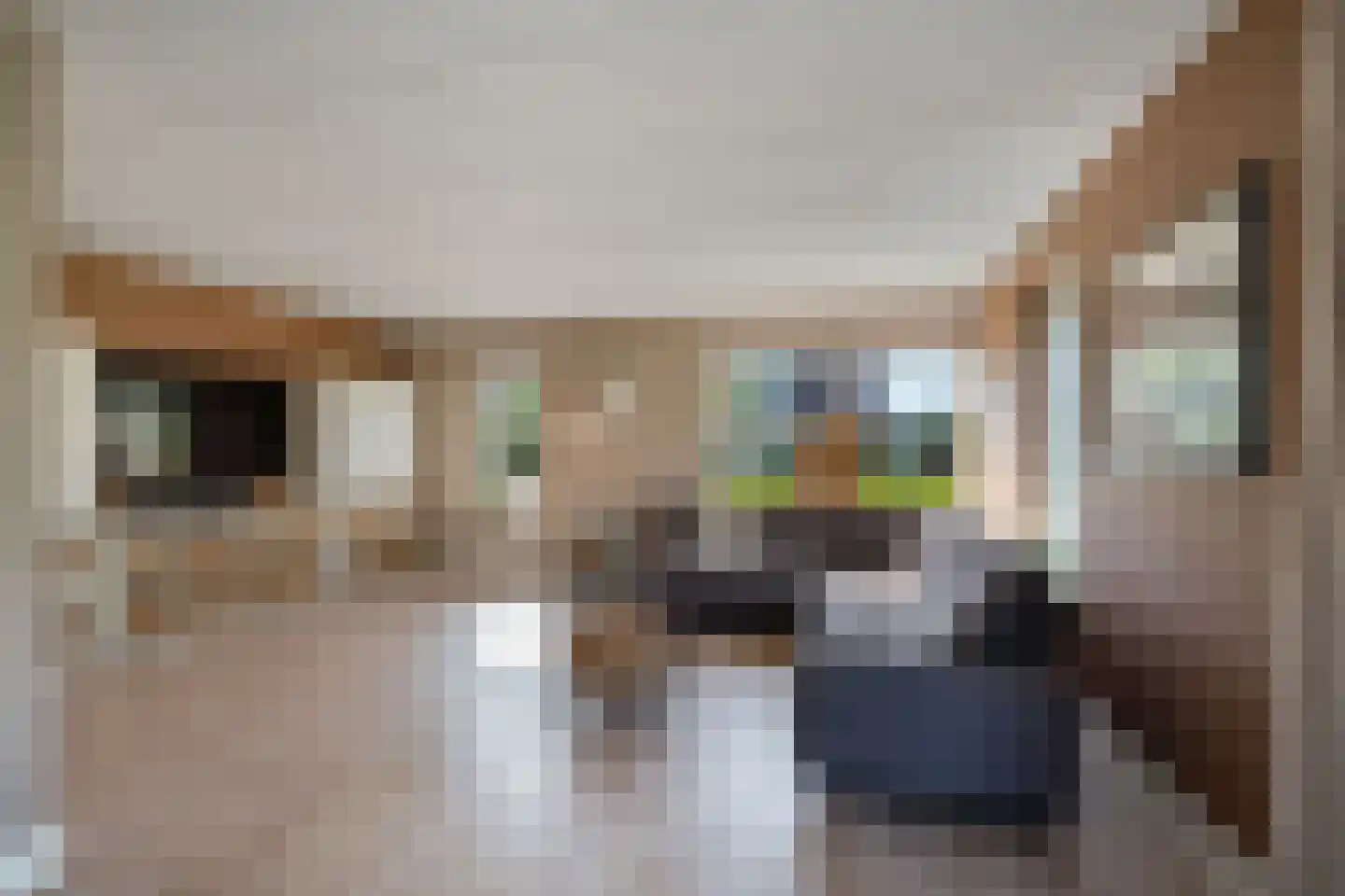 Vogelzwin 4 Sneek thumbnail 16