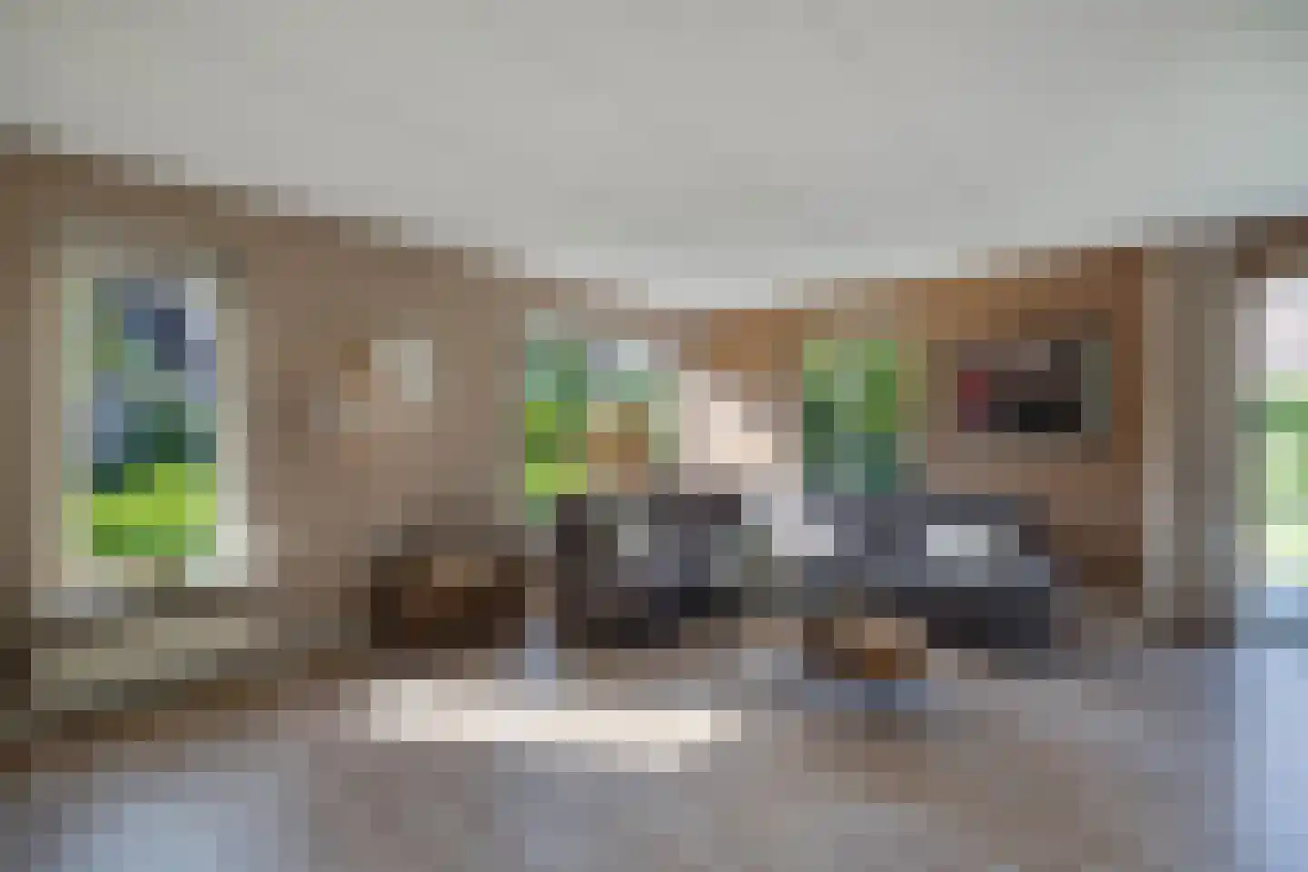 Vogelzwin 4 Sneek thumbnail 17