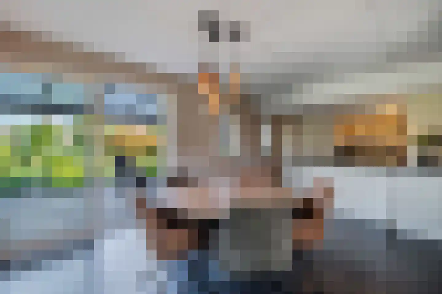 Vogelzwin 4 Sneek thumbnail 20