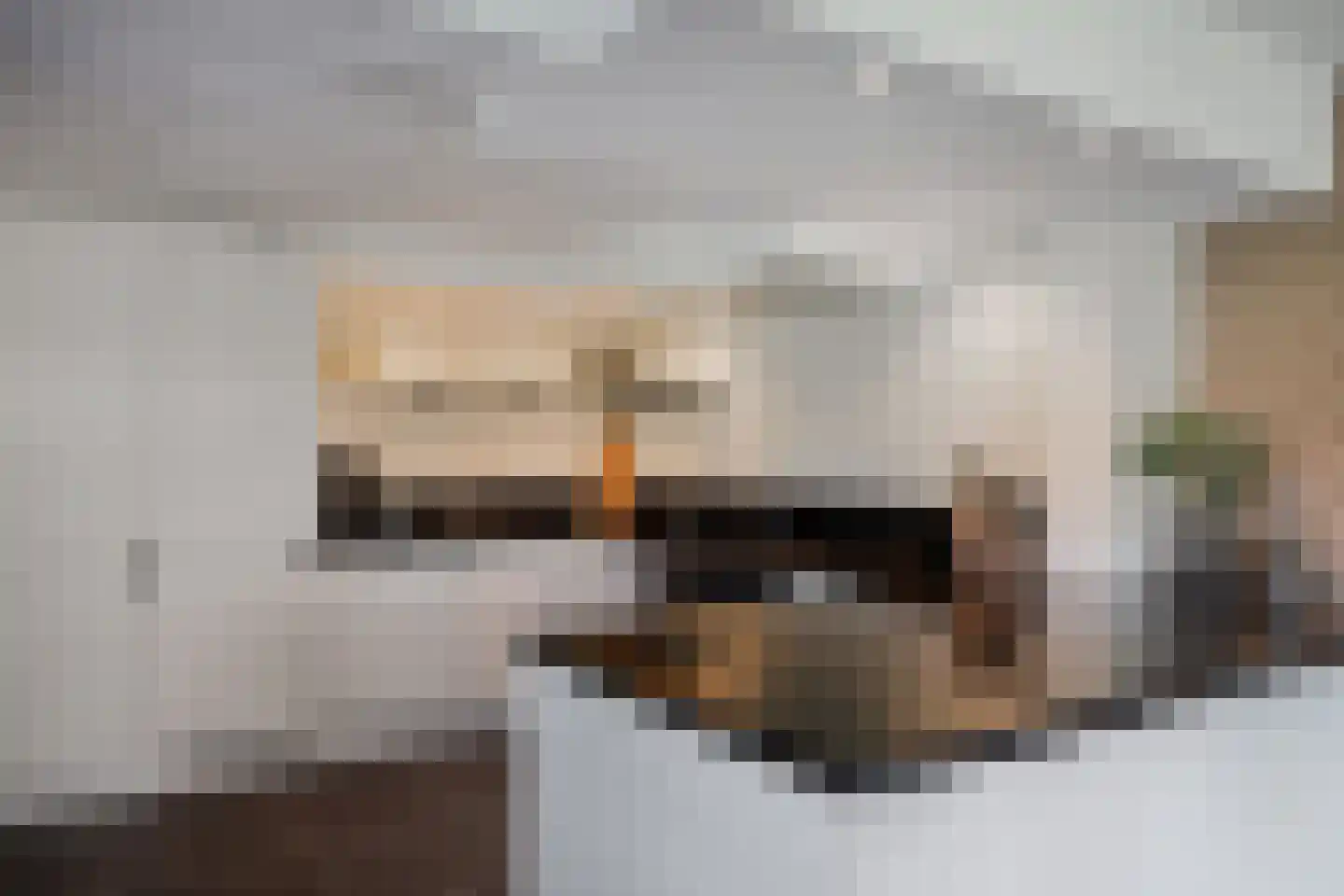 Vogelzwin 4 Sneek thumbnail 23