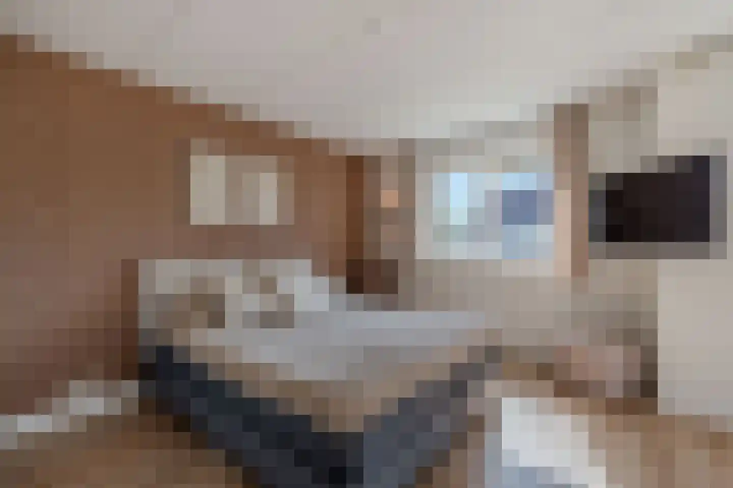 Vogelzwin 4 Sneek thumbnail 29