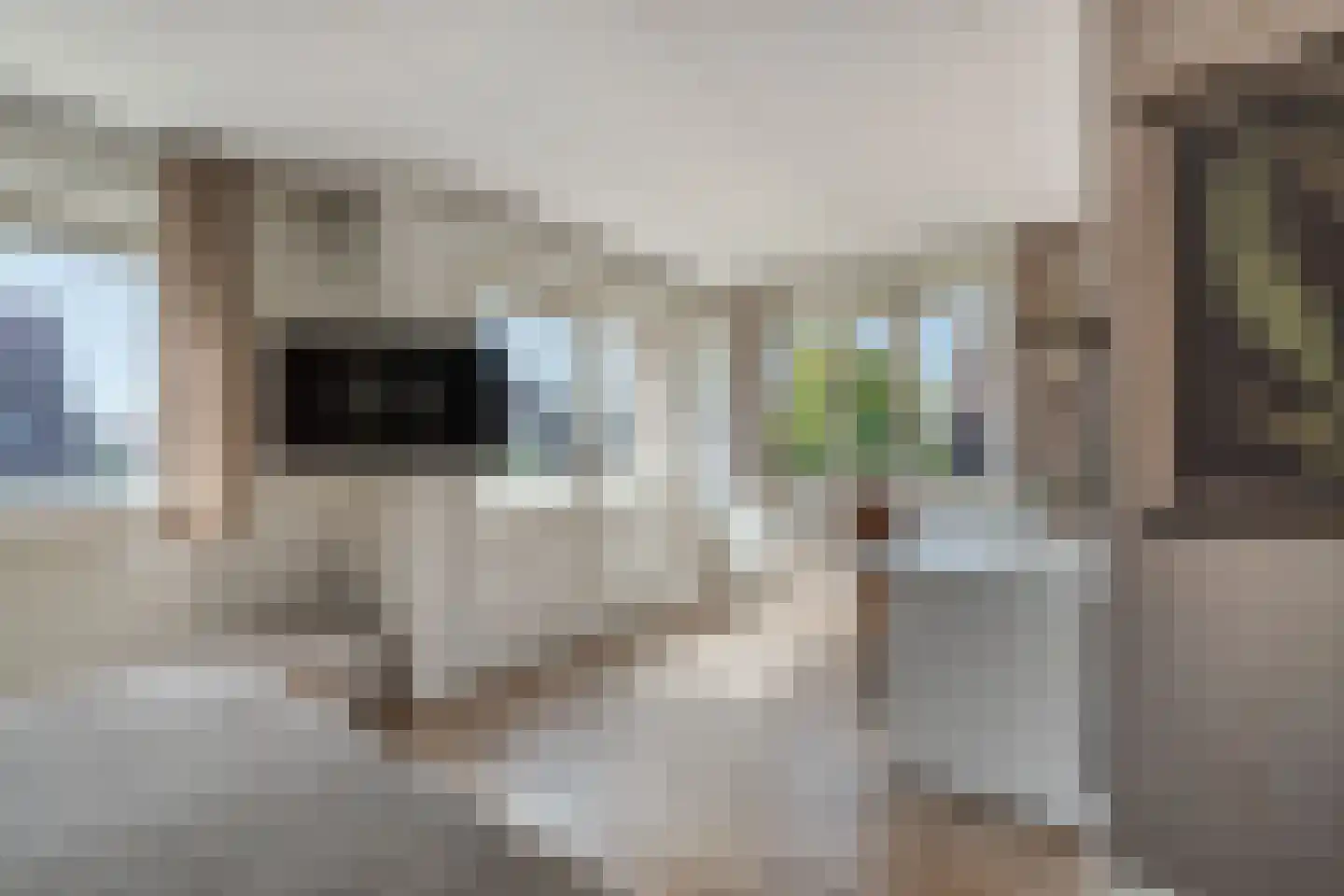 Vogelzwin 4 Sneek thumbnail 30