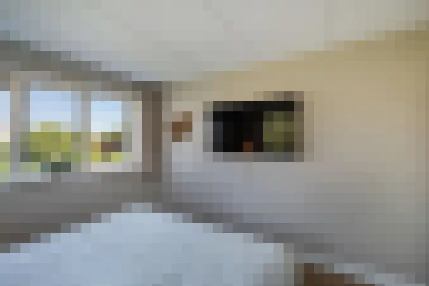 Vogelzwin 4 Sneek thumbnail 34