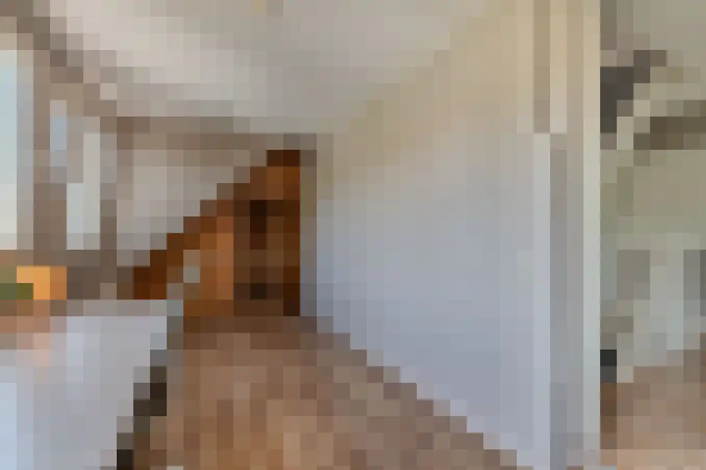 Vogelzwin 4 Sneek thumbnail 38