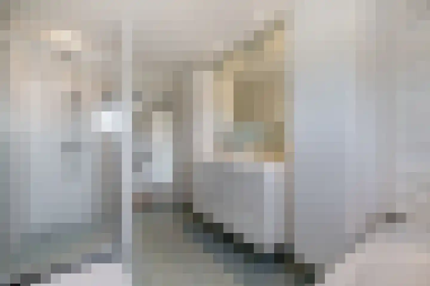 Vogelzwin 4 Sneek thumbnail 44