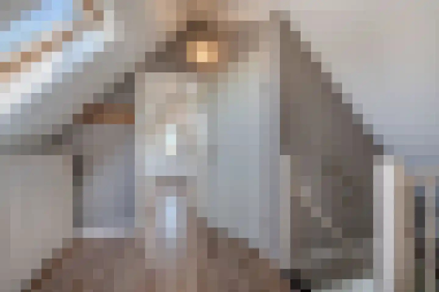 Vogelzwin 4 Sneek thumbnail 46