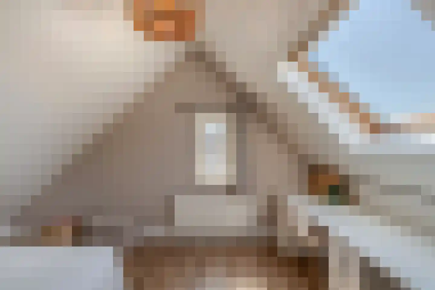 Vogelzwin 4 Sneek thumbnail 47