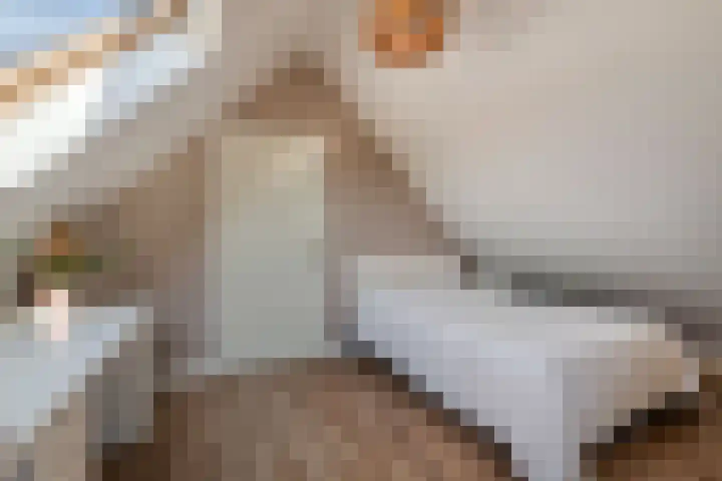 Vogelzwin 4 Sneek thumbnail 48