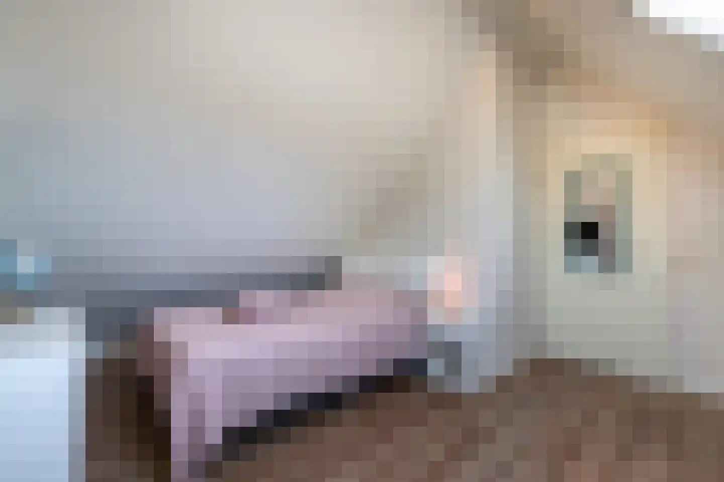 Vogelzwin 4 Sneek thumbnail 49