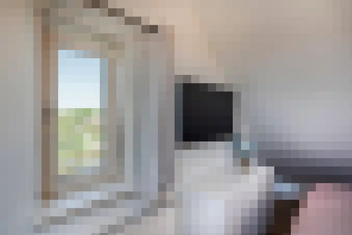 Vogelzwin 4 Sneek thumbnail 50