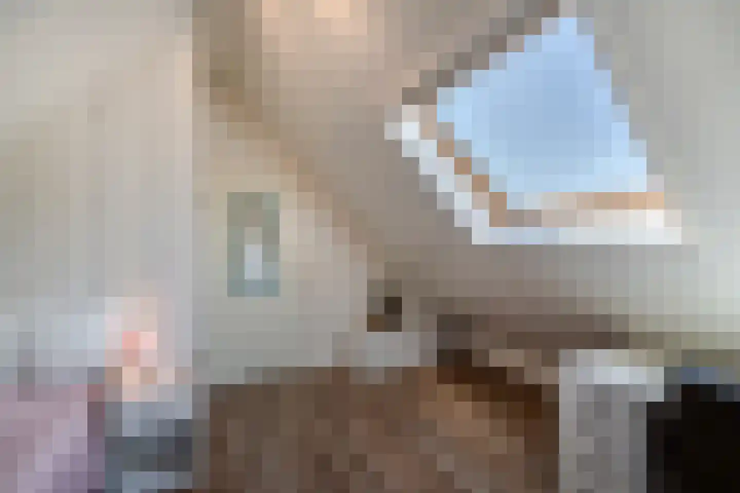 Vogelzwin 4 Sneek thumbnail 51