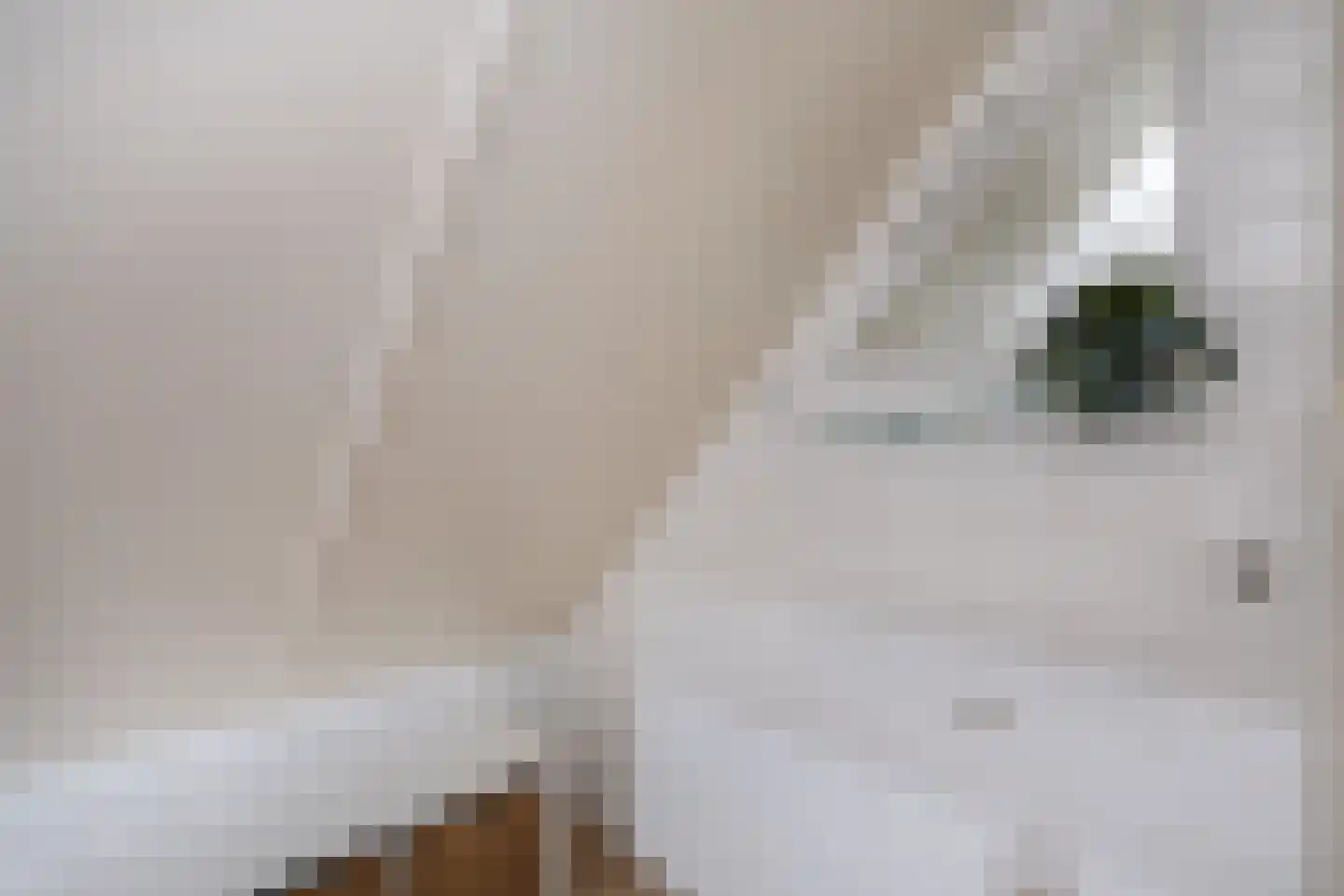 Vogelzwin 4 Sneek thumbnail 53