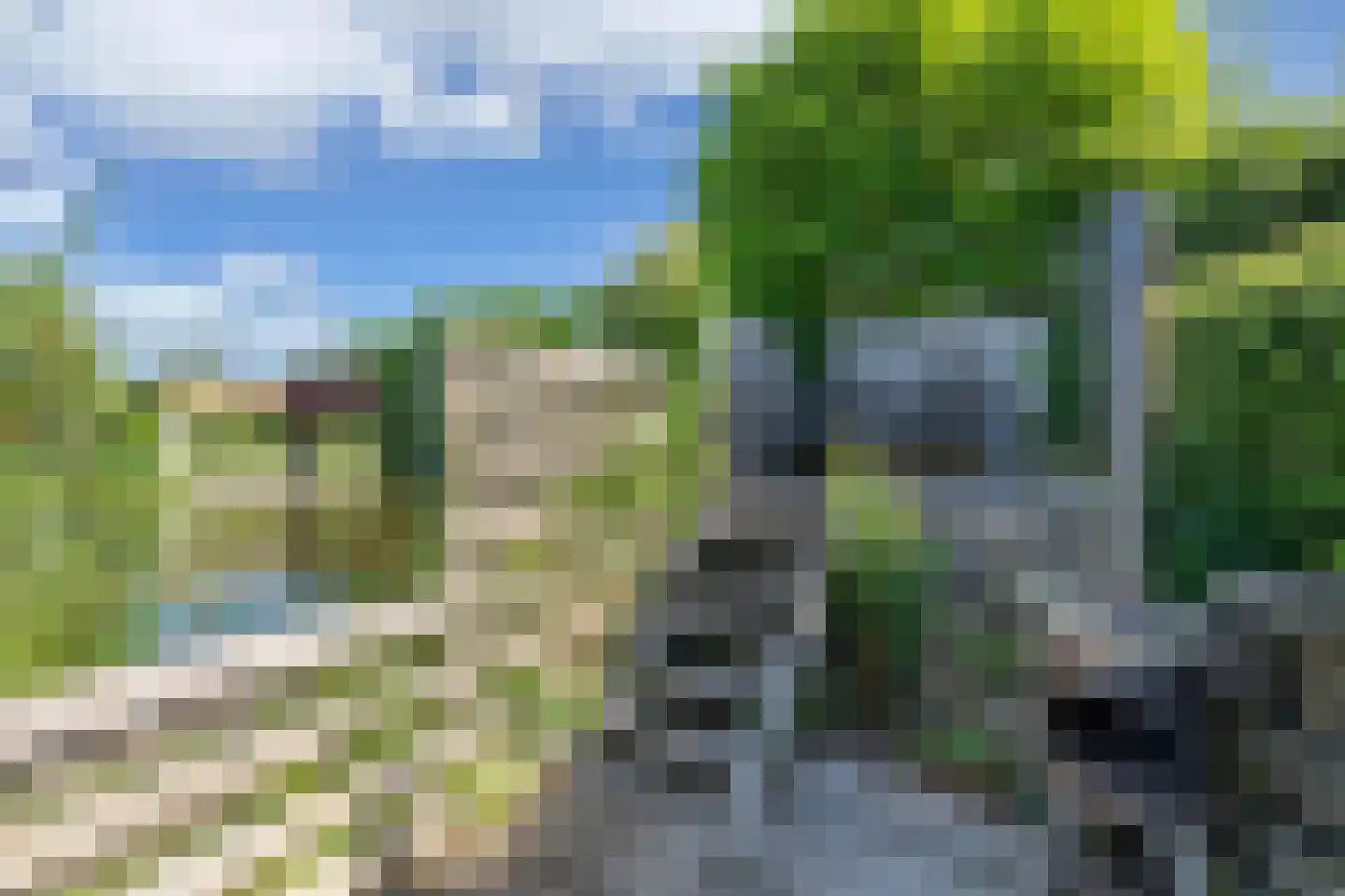Vogelzwin 4 Sneek thumbnail 60