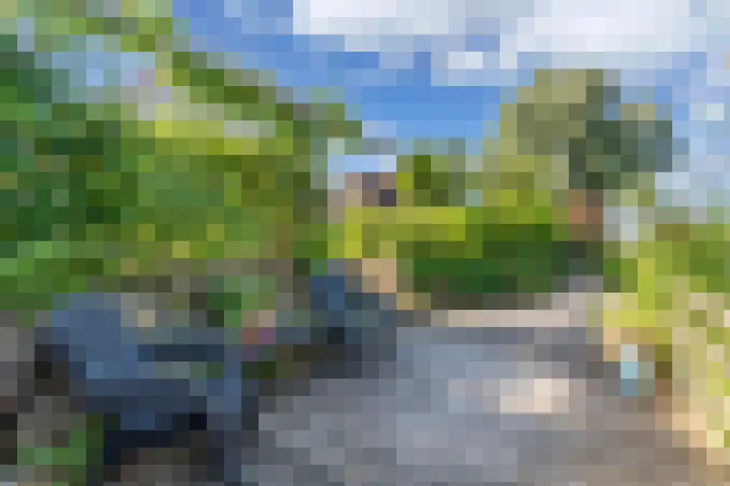 Vogelzwin 4 Sneek thumbnail 61