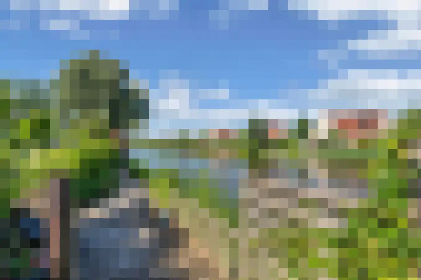 Vogelzwin 4 Sneek thumbnail 62