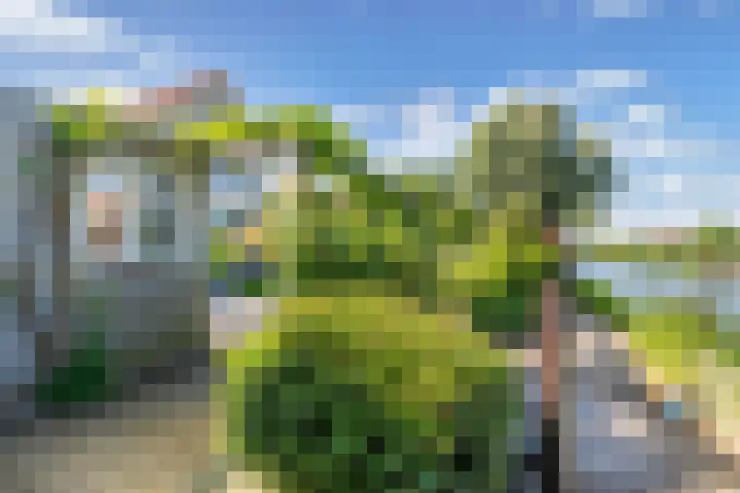 Vogelzwin 4 Sneek thumbnail 63
