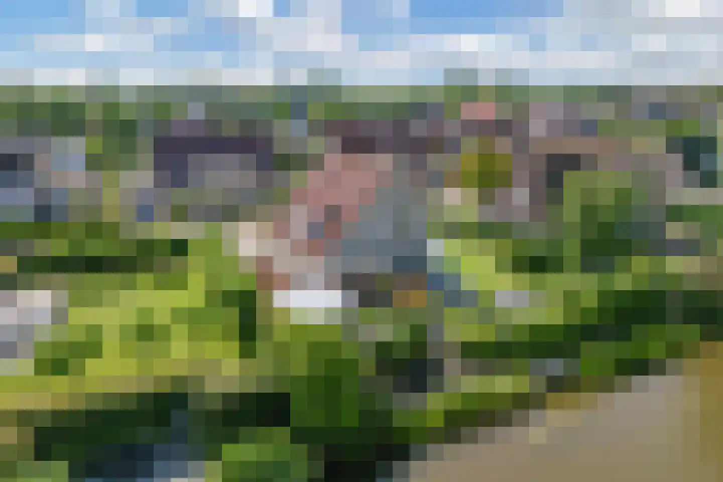 Vogelzwin 4 Sneek thumbnail 70