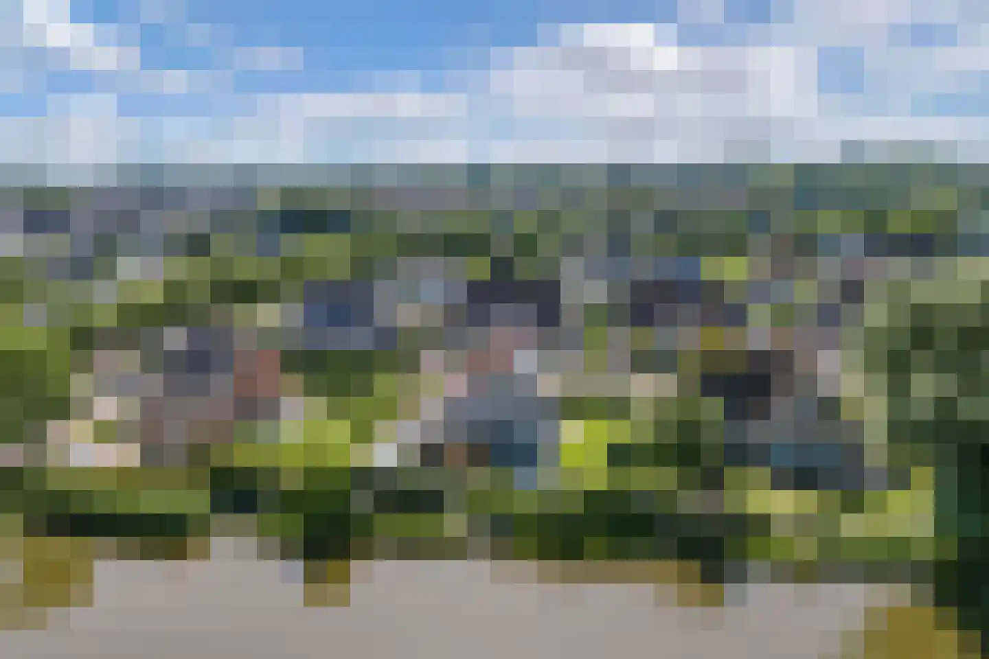 Vogelzwin 4 Sneek thumbnail 71