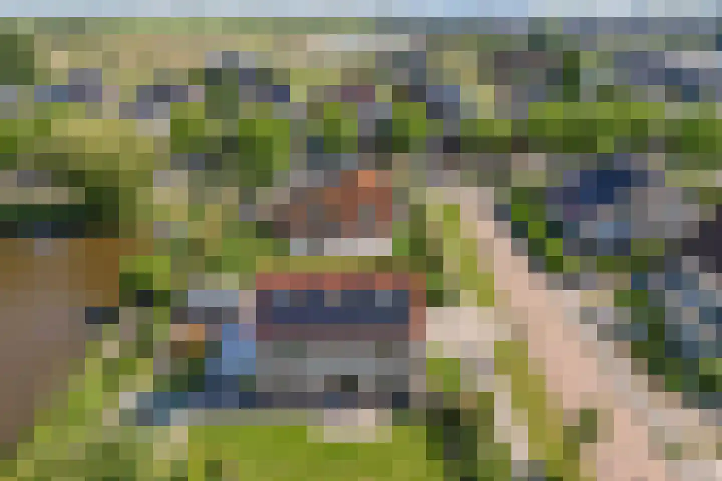 Vogelzwin 4 Sneek thumbnail 72