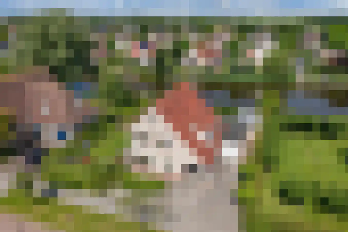 Vogelzwin 4 Sneek thumbnail 74