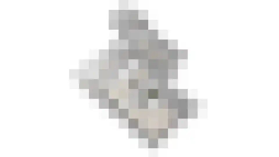 Vogelzwin 4 Sneek thumbnail 78