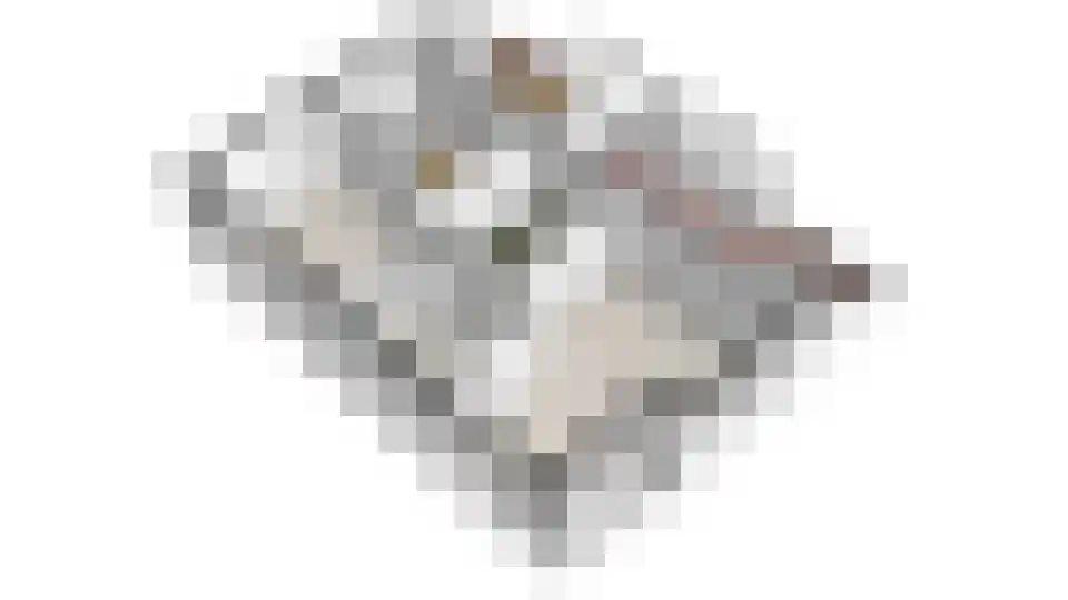 Vogelzwin 4 Sneek thumbnail 79