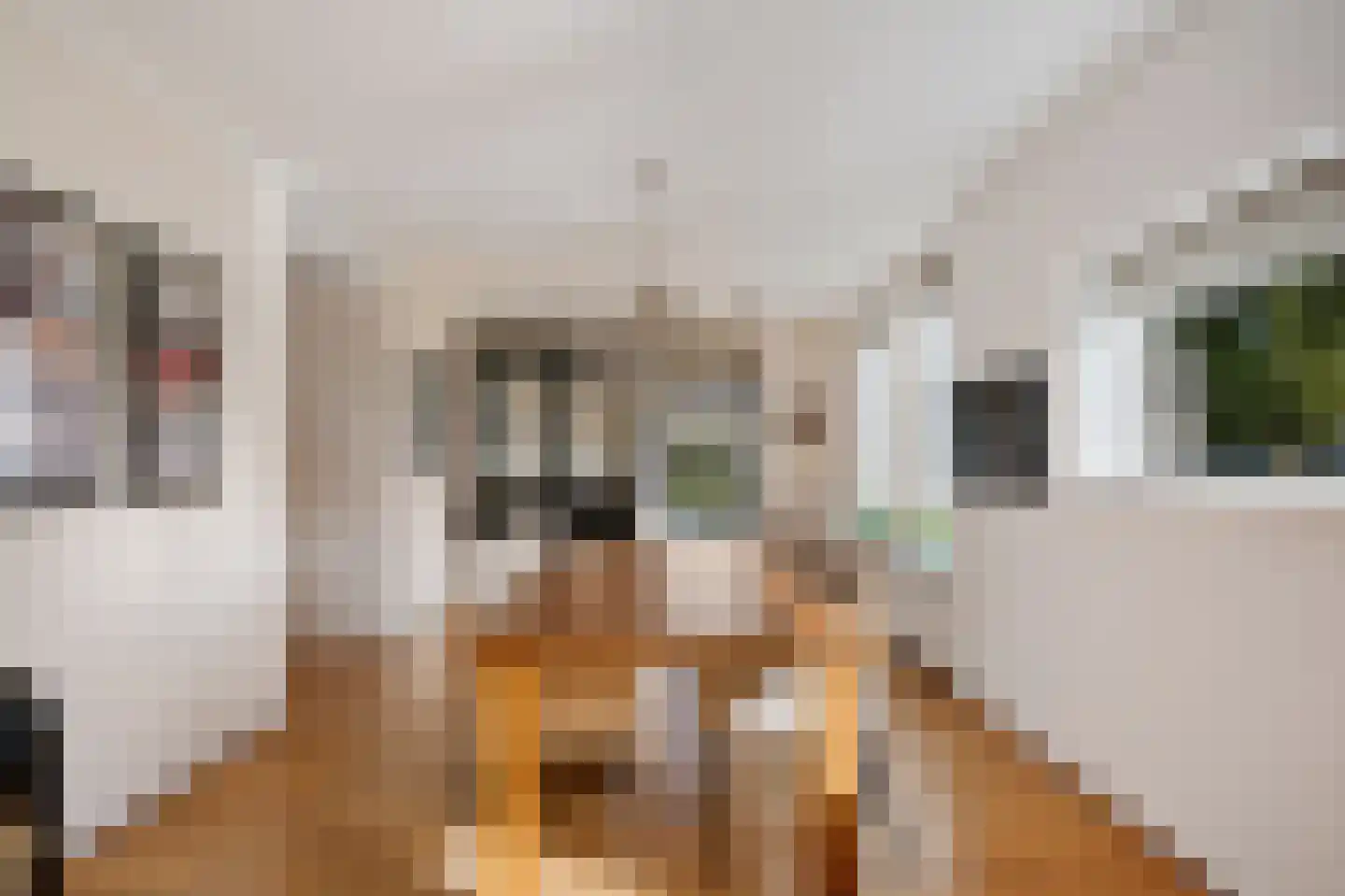 Vogelzwin 6 Sneek thumbnail 20